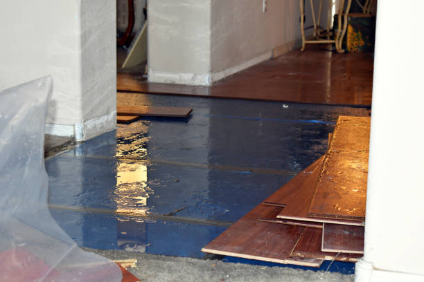 Professional Flood Damage Repair technician working in Chinook, WA